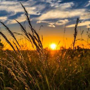 Agricoltura Resiliente e Turismo Sostenibile: Alla Ricerca del Benessere in Italia 13
